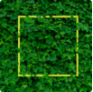 A square frame is in the middle of some green leaves.